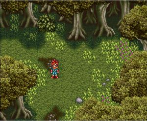Guardia Forest.jpg