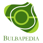 File:Bulbapedia Logo.png