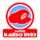 SuperMarioWiki Logo.png