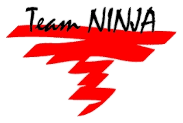 File:Team Ninja Logo.png