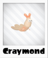Craymond's Polaroid-style render