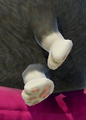 Judd's feet