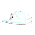 SMM Unknown flat-brimmed cap.png