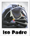 OE Iso Padre Polaroid render.png