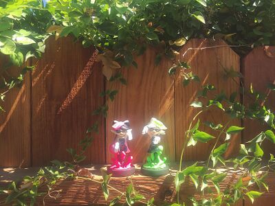 Callie and Marie amiibo outside.jpg