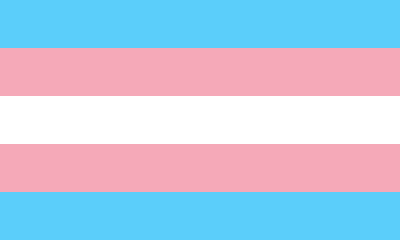 File:Trans flag.svg