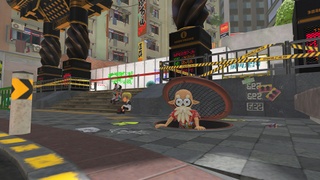 S3 Cuttlefish in manhole.jpg