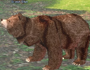 Mabinogi Monster Brown Bear.png