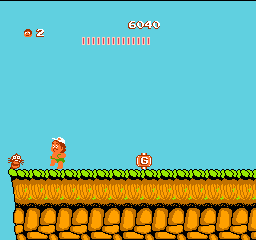 File:Adventure Island Bee Location.png