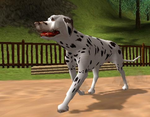 File:Dog's Life Dalmatian.jpg