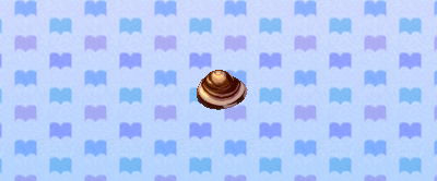 File:ACNL clam.png