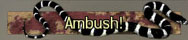 File:CoDMW2 Title Ambush.jpg