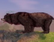Mabinogi Monster Grizzly Bear.png