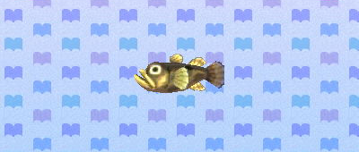 ACNL freshwatergoby.png