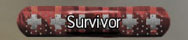 CoDMW2 Survivor.jpg