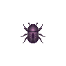 ACWW Dung Beetle.png