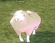Mabinogi Monster Sheep.png