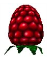 Bugdom Raspberry.png