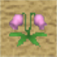 File:HM64 Pink-Cat-Mint Plant.png