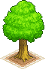 File:Pocket Academy Mythic Tree.png