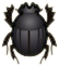 ACNH Dung Beetle.png