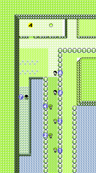 File:Pokemon RBY Route 24.png