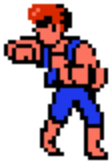 File:Double Dragon NES elbow.png