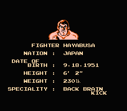 File:Pro Wrestling Fighter Hayabusa.png