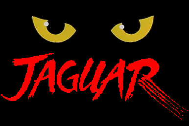 File:Atari Jaguar icon.png