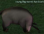 Mabinogi Monster Young Big-eared Aardvark.png