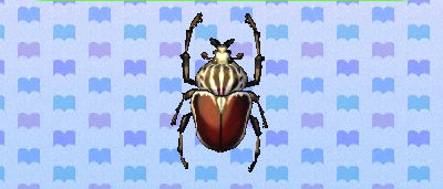 File:ACNL goliathbeetle.png