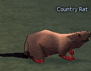 Mabinogi Monster Country Rat.png
