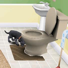 File:Dogz toilet.jpg