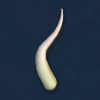 Spore cell flagella.png