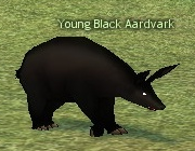 Mabinogi Monster Young Black Aardvark.png