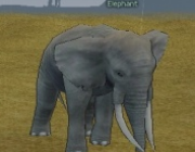 Mabinogi Monster Elephant (Gray).png