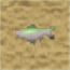 File:HM64 Small Fish.png