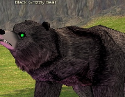 Mabinogi Monster Black Grizzly Bear.png