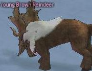 Mabinogi Monster Young Brown Reindeer.png