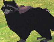 Mabinogi Monster Black Raccoon.png