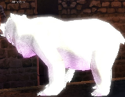 Mabinogi Monster White Bear.png