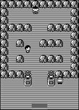 File:Pokemon RBY Pewter Gym.png