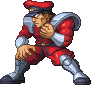 M. Bison NxC.png