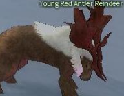 Mabinogi Monster Young Red Antler Reindeer.png