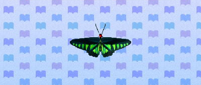 ACNL rajabbutterfly.png