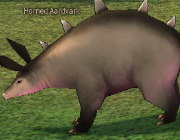 Mabinogi Monster Horned Aardvark.png