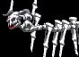 CHoD Skeleton Spider thumb.png