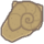 HelixFossil.png
