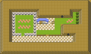 Pokemon GSC map Mt. Moon 2F.png