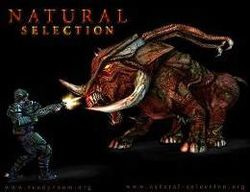 Box artwork for Natural Selection.